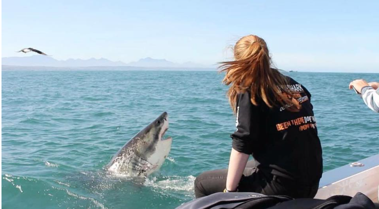 Shark cage diving boat off Mossel Bay, South Africa